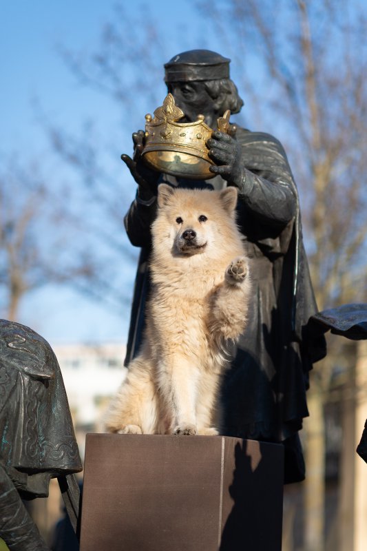 Birka vor Statue mit Krone