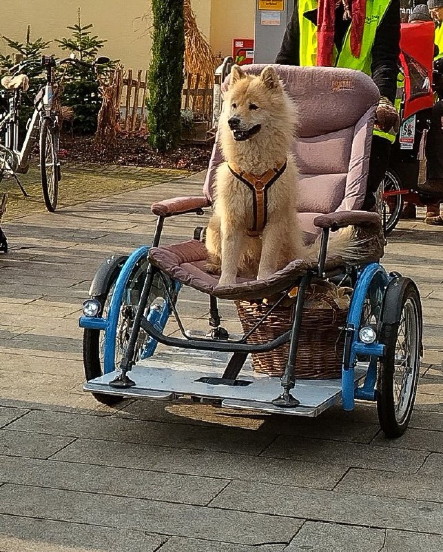 Birka in der Rikscha