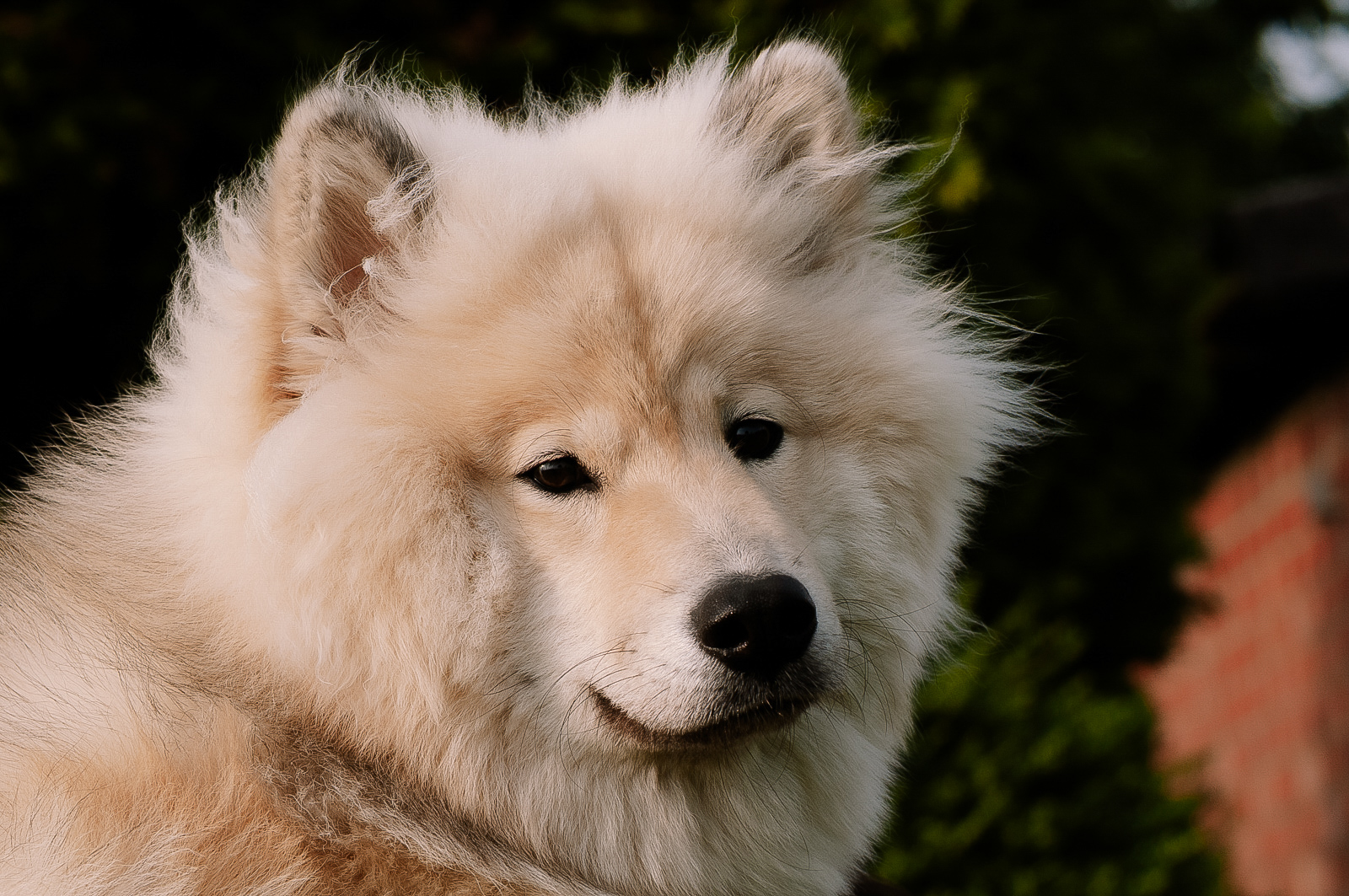 Birka von der Spessartpforte